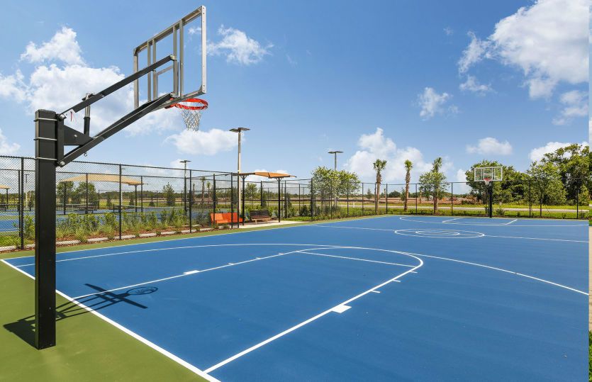 Basketball Court