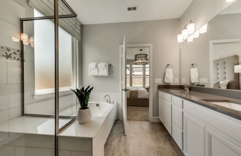 Owner's Bath