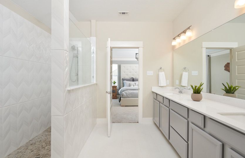 Owner's Bath