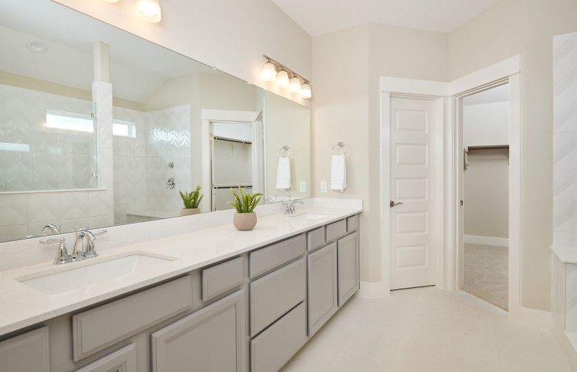 Owner's Bath