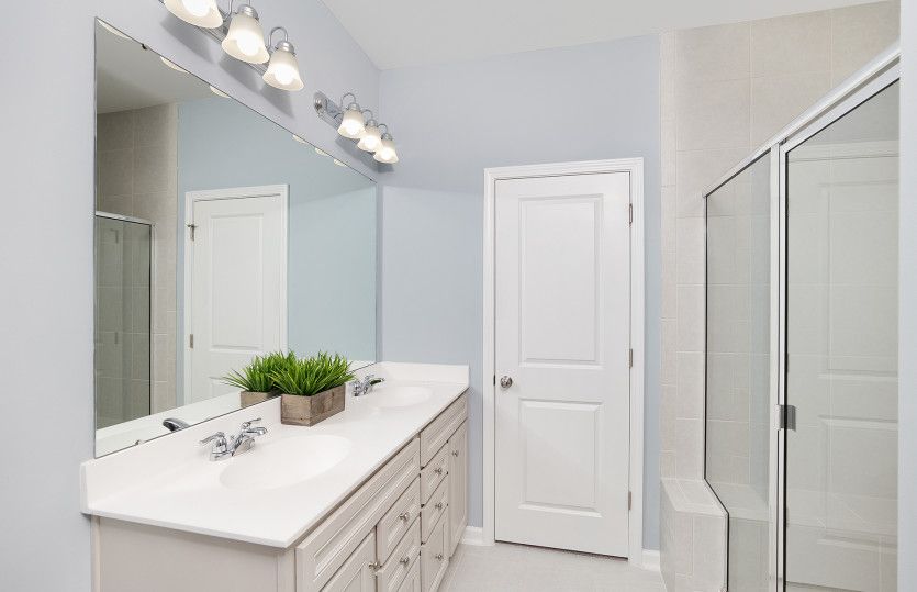 Owner's Bathroom, Model Representation