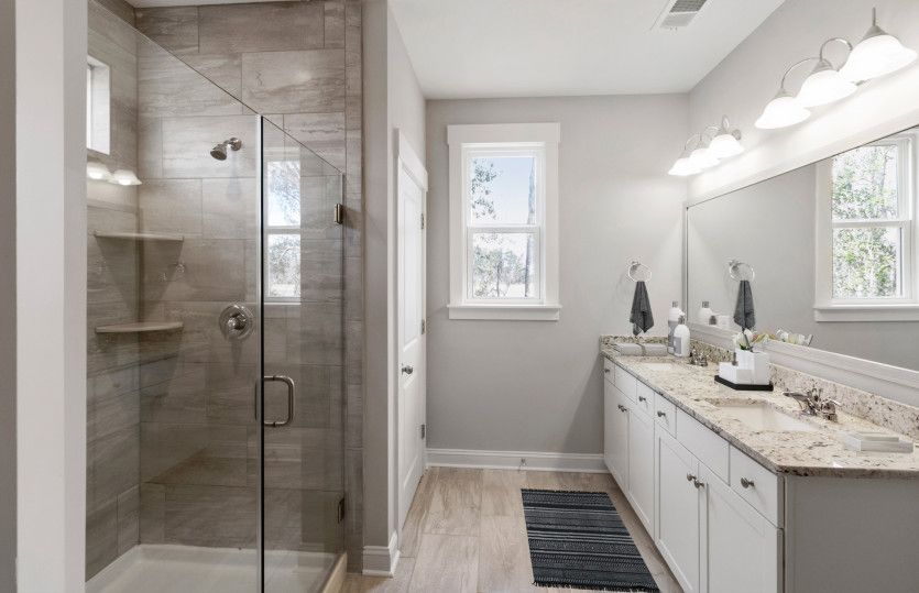 Owner's Bathroom, Model Representation