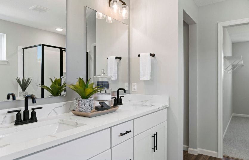 Owner's bath suite