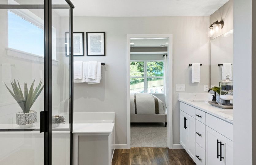 Owner's bath suite