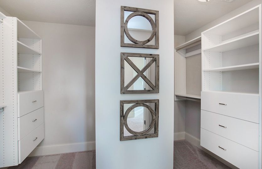 Walk-In Owner's Closet