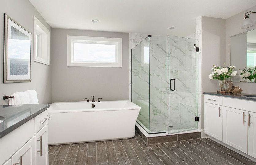 Luxurious, Owner's Bathroom