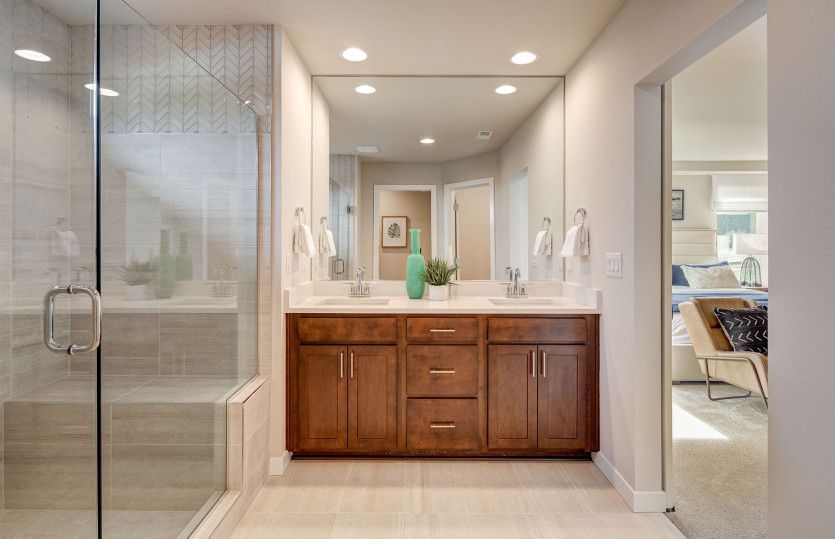 Owner's bath