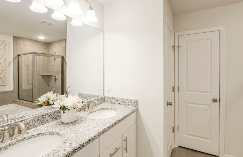 Owner's Bathroom