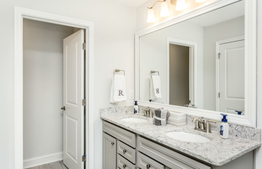 Owner's Bath - Model Representation