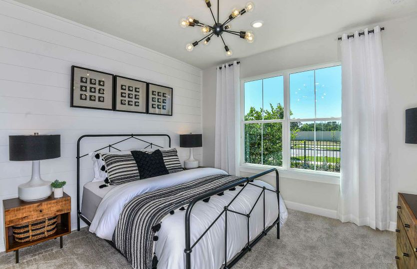 Bed 5 (Optional)