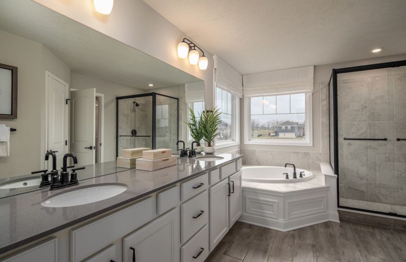 Owner's Bath