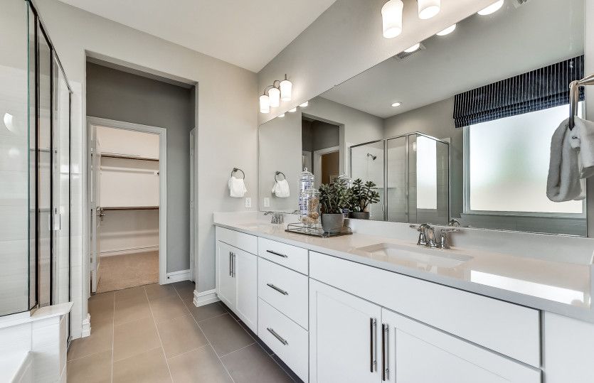 Owner's Bathroom