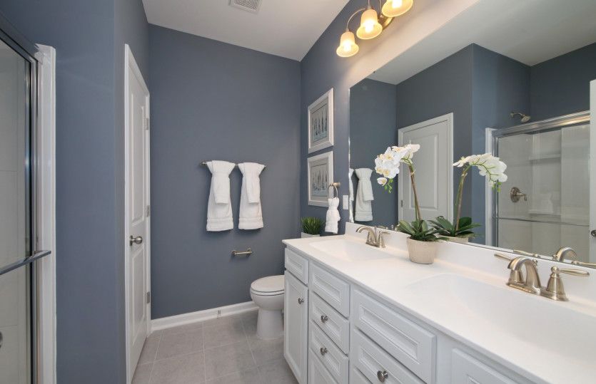 Owner's Bathroom, Model Representation