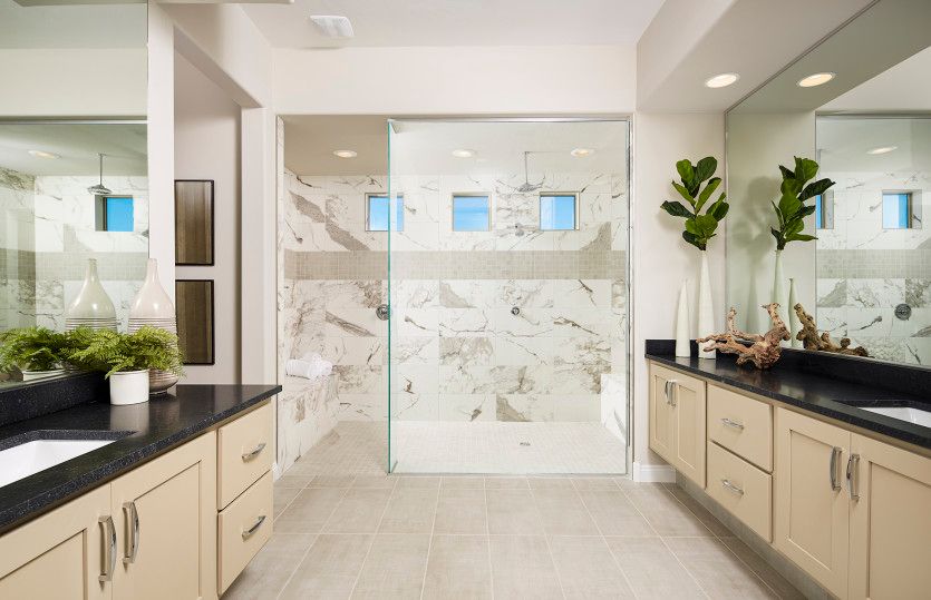 Luxurious Owner's Bath