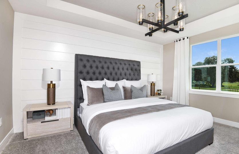 Owner's suite with tray ceiling