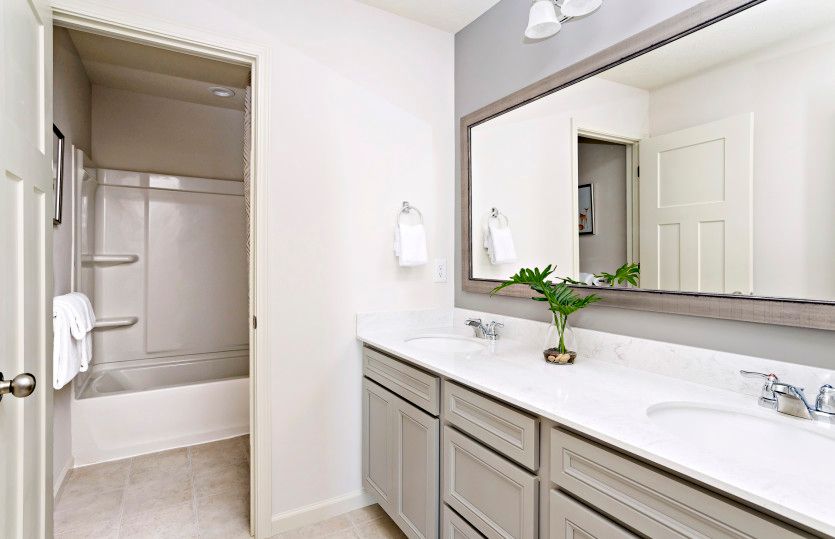 Owner's Bath
