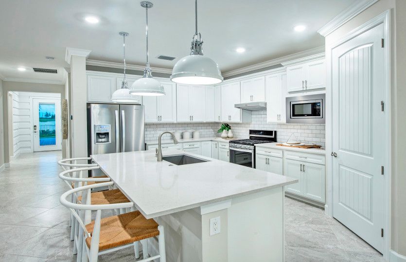 Kitchen with designer finishes