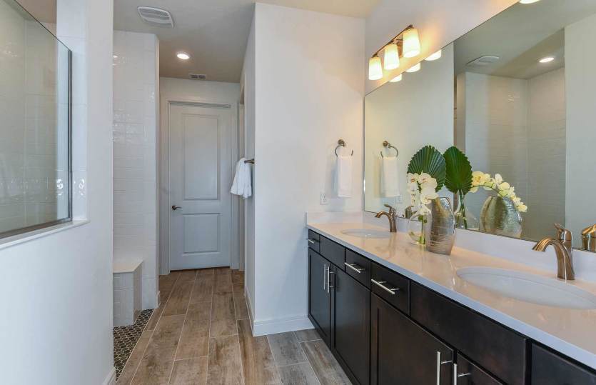 Spa-Inspired Owner's Bath