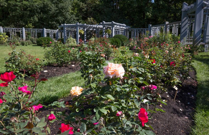 Inniswood Metro Gardens