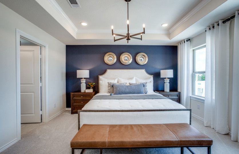 Owner's Suite with Tray Ceilings