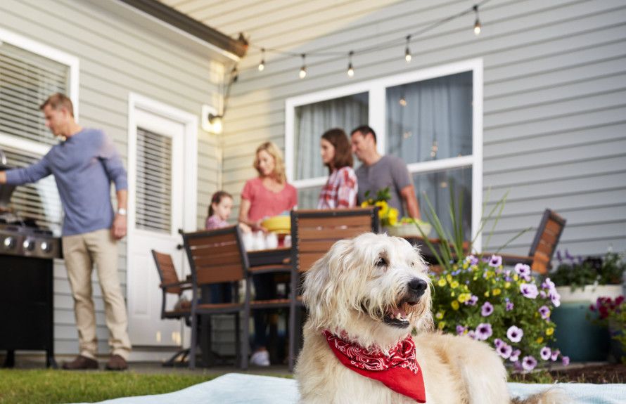 Backyards with Space for Pets