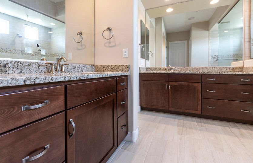 Owner's Bath