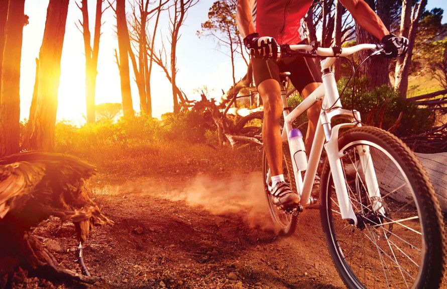 Stay Active on Trails