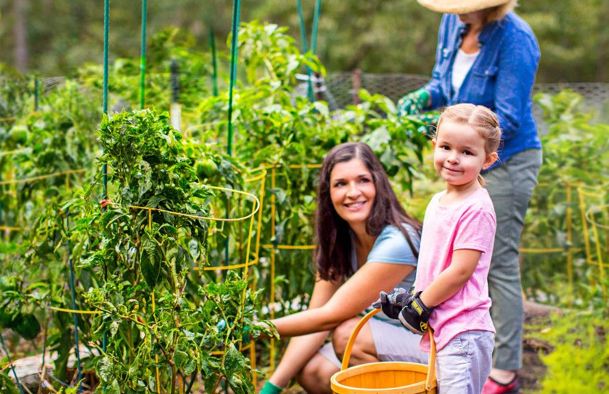 Community Gardens