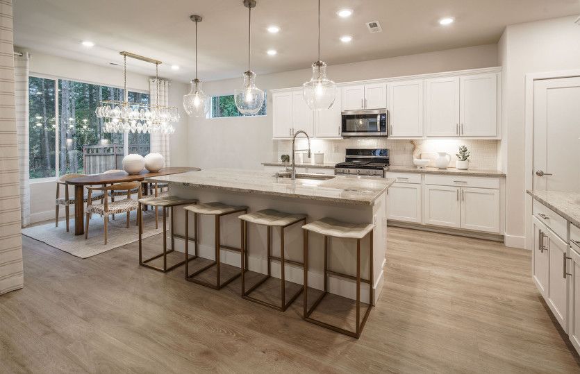 Gourmet kitchen