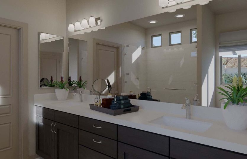 Owner's Bath
