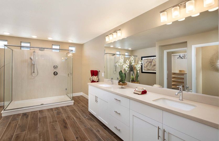 Expansive Owner's Bath