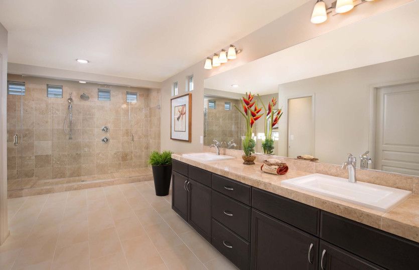 Owner's Bath