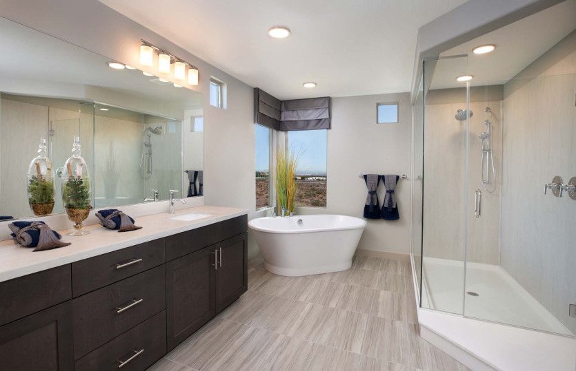 Grand Owner's Bath