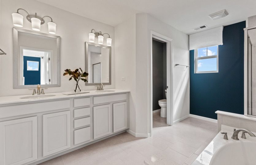 Owner's Bath with Double Bowl Vanity