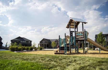 Park With Play Structure