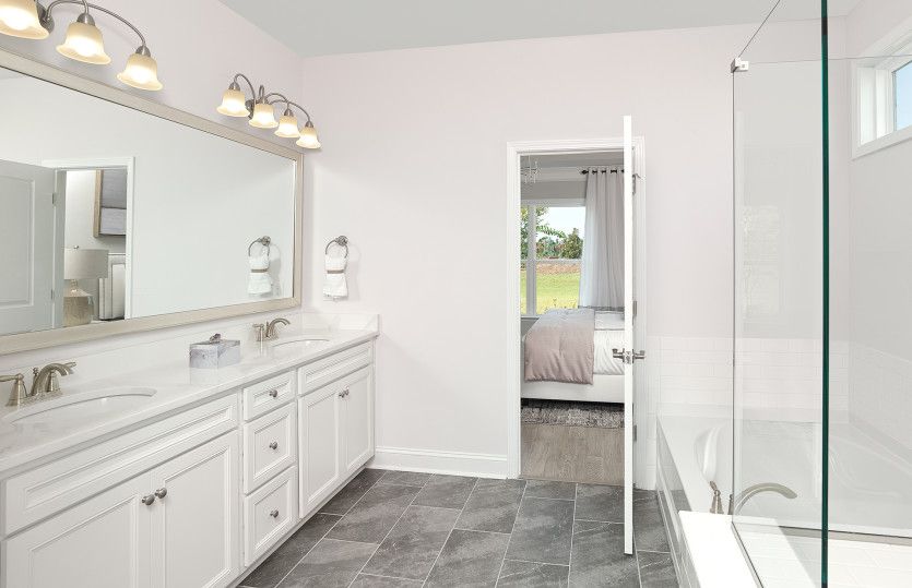 Large Owner's Bath - Model Representation