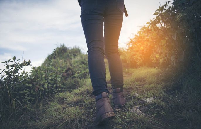 Reconnect to Nature