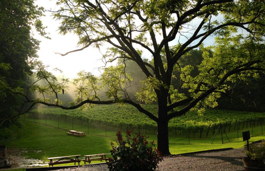 Nearby The Winery at Bull Run