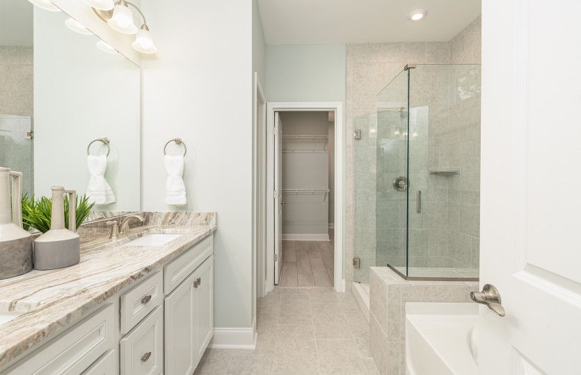 Owner's Bath with walk-in shower and separate soaking tub
