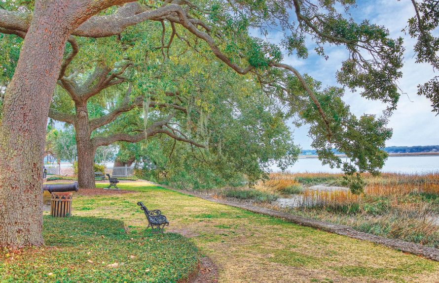 The bank of the Beaufort River