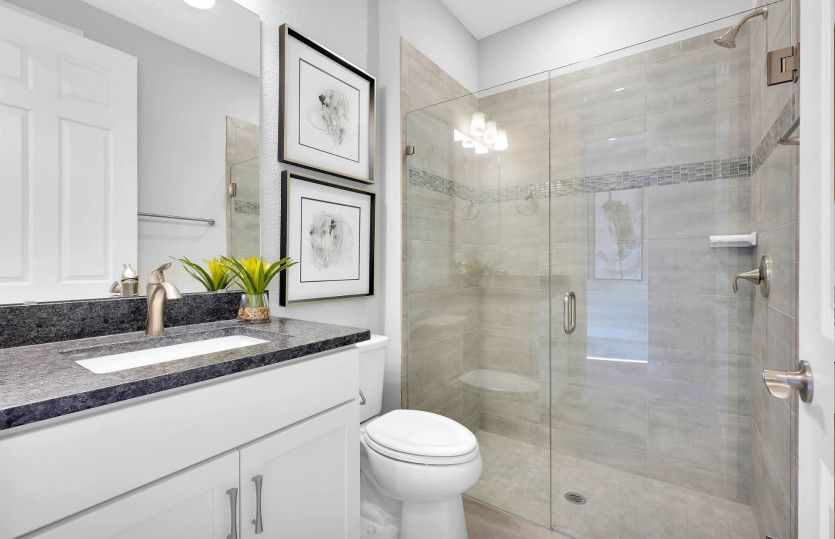 Palmary | Guest Bathroom