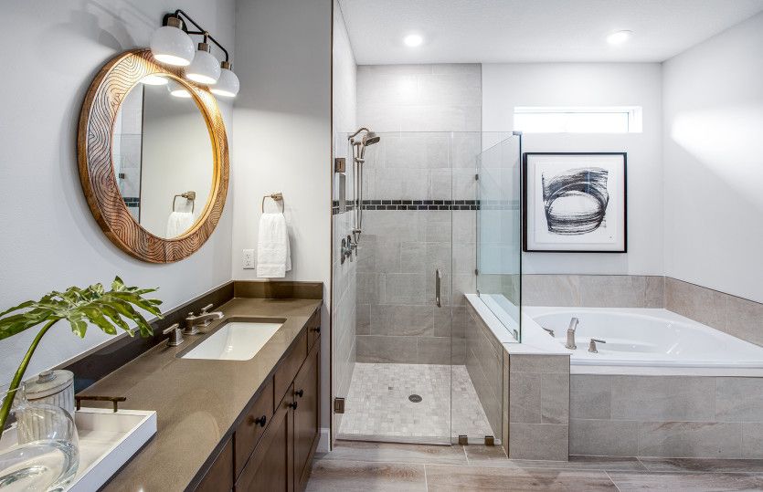 Owner's Bathroom with Optional Tub Upgrade