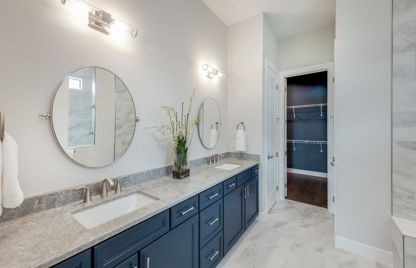 Owner's bathroom with large walk-in closet