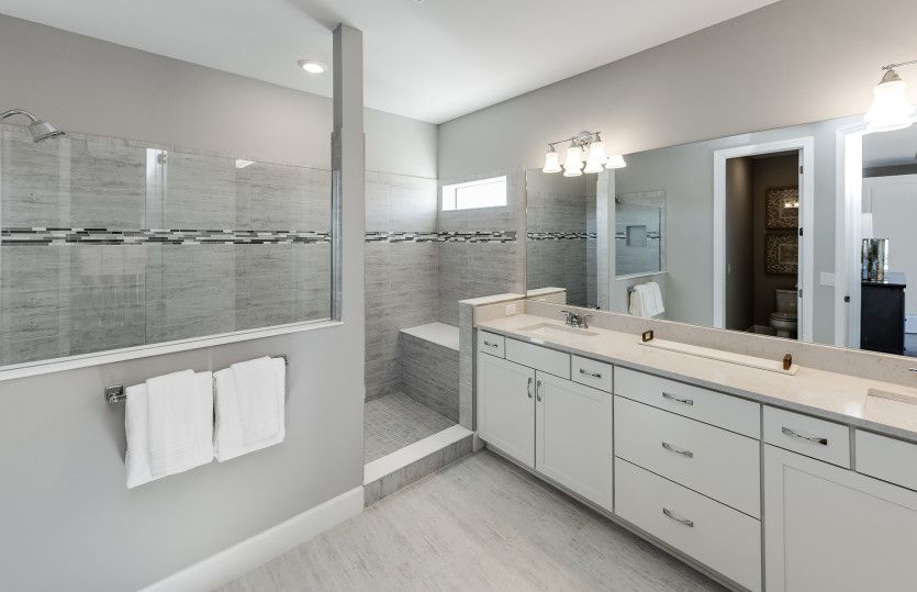Owner's Bathroom with Walk-in Shower