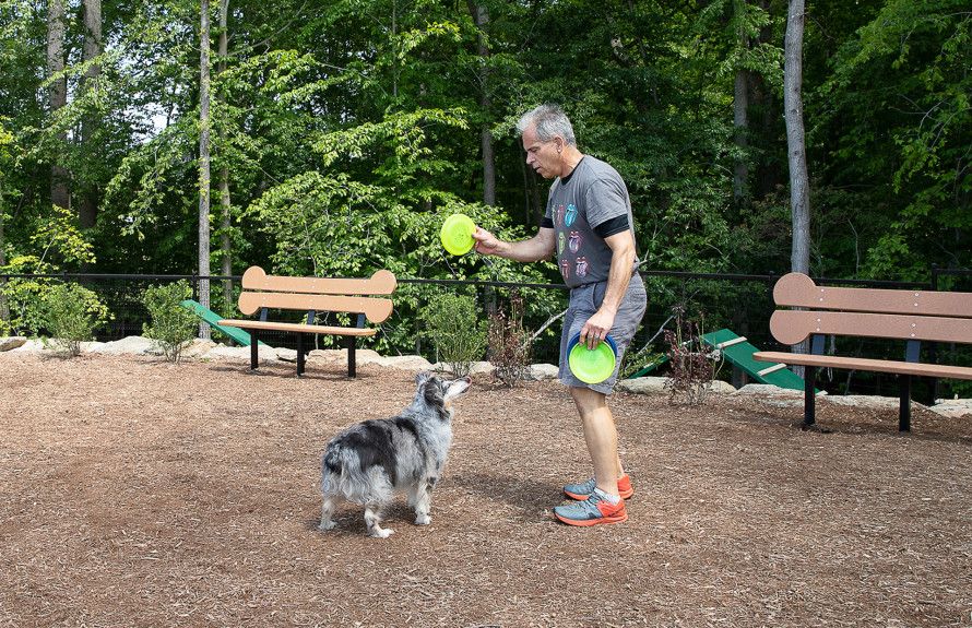 Watershed Dog Park