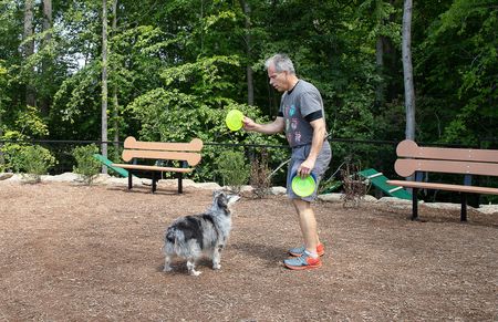 Watershed Dog Park