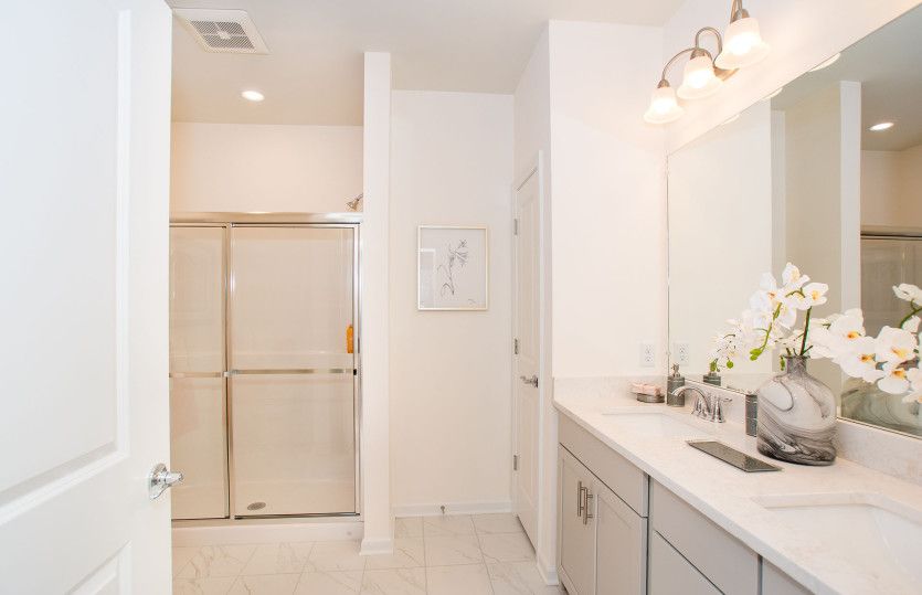 Luxurious Owner's Bath