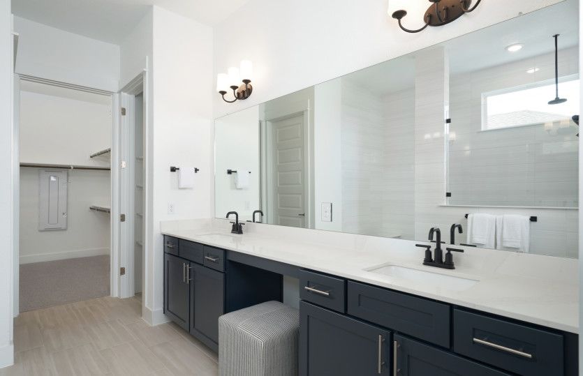 Owner's Bathroom