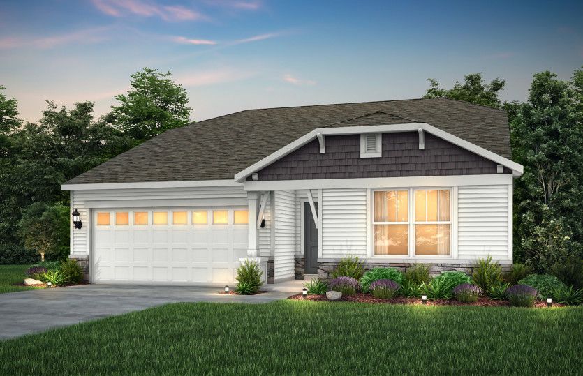 Elevation CR201