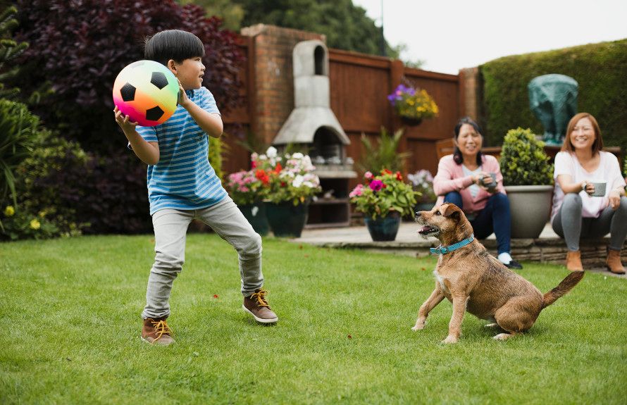 Outdoor Space to Play
